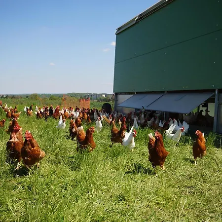 Regenbogenhof Rudelswalde 2*