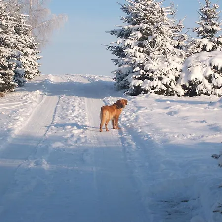 Hotel Regenbogenhof Rudelswalde Crimmitschau